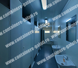 containere de vanzare Ialomita